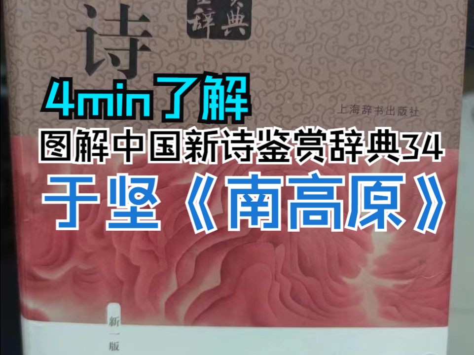 图解中国新诗鉴赏辞典第34首:于坚《南高原》哔哩哔哩bilibili