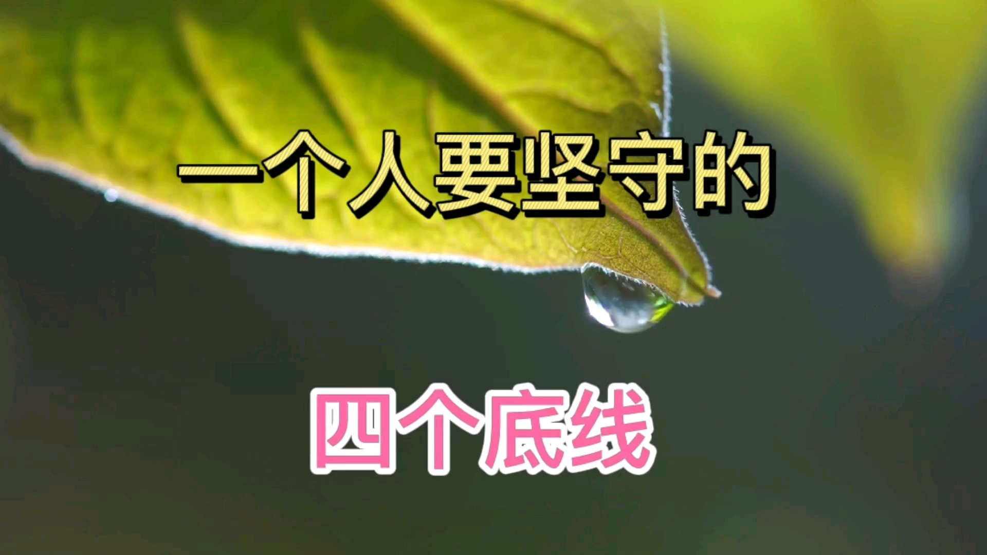 活动作品一个人要坚守的四个底线