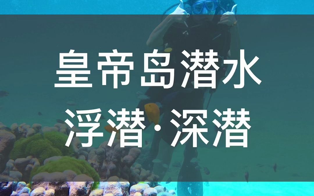 普吉岛自由行 皇帝岛潜水就选伯曼旅行 人均两百多普吉岛皇帝岛深潜体验也太划算了 来泰国普吉岛潜水千万不要错过这片玻璃海哦皇帝岛珊瑚这么多皇帝岛...