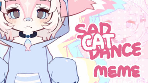 原神/MEME】Sad cat dance，但是绮良良_哔哩哔哩_bilibili