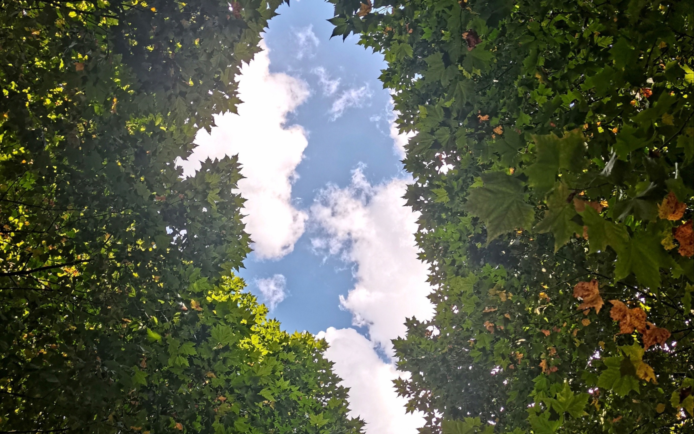 世界各地的美丽云彩,家乡的云最美