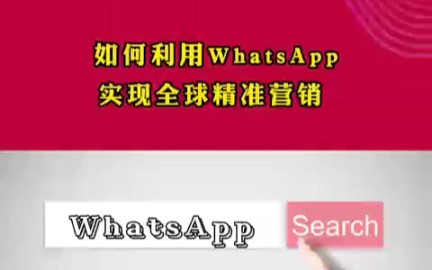 疫情期间,如何利用whatsapp实现全球精准营销?哔哩哔哩bilibili