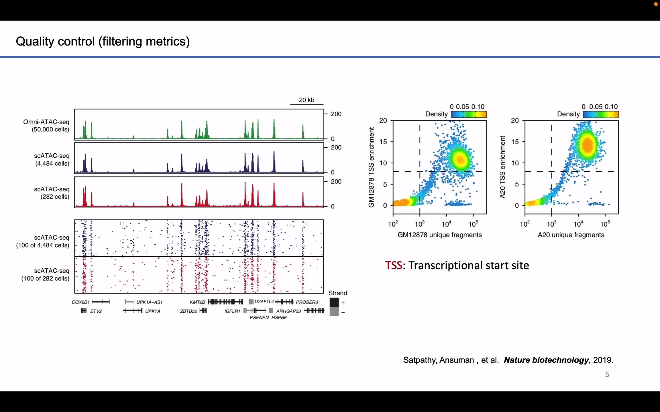 [图]scATAC-seq 单细胞染色质可及性数据全流程分析-最佳实践