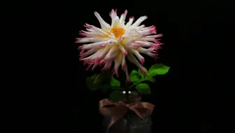 翻糖花 红色彼岸花鬼灭之刃 紅蓮華 红莲华 哔哩哔哩 Bilibili