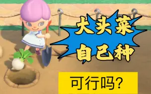 Download Video: 【动森】曹卖垄断大头菜的原因找到了！