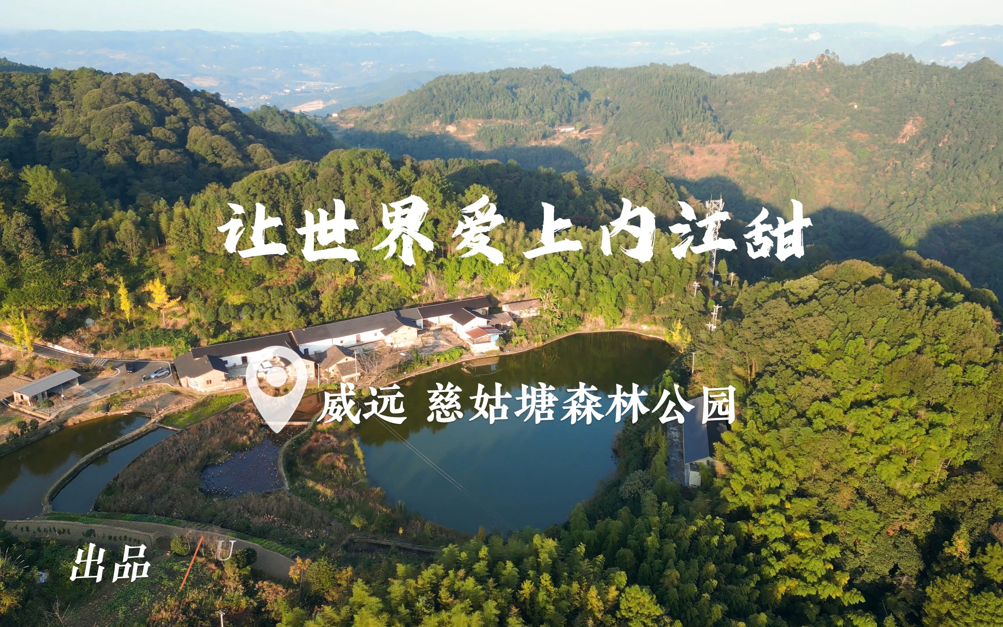 【让世界爱上内江甜】航拍威远慈菇塘森林公园
