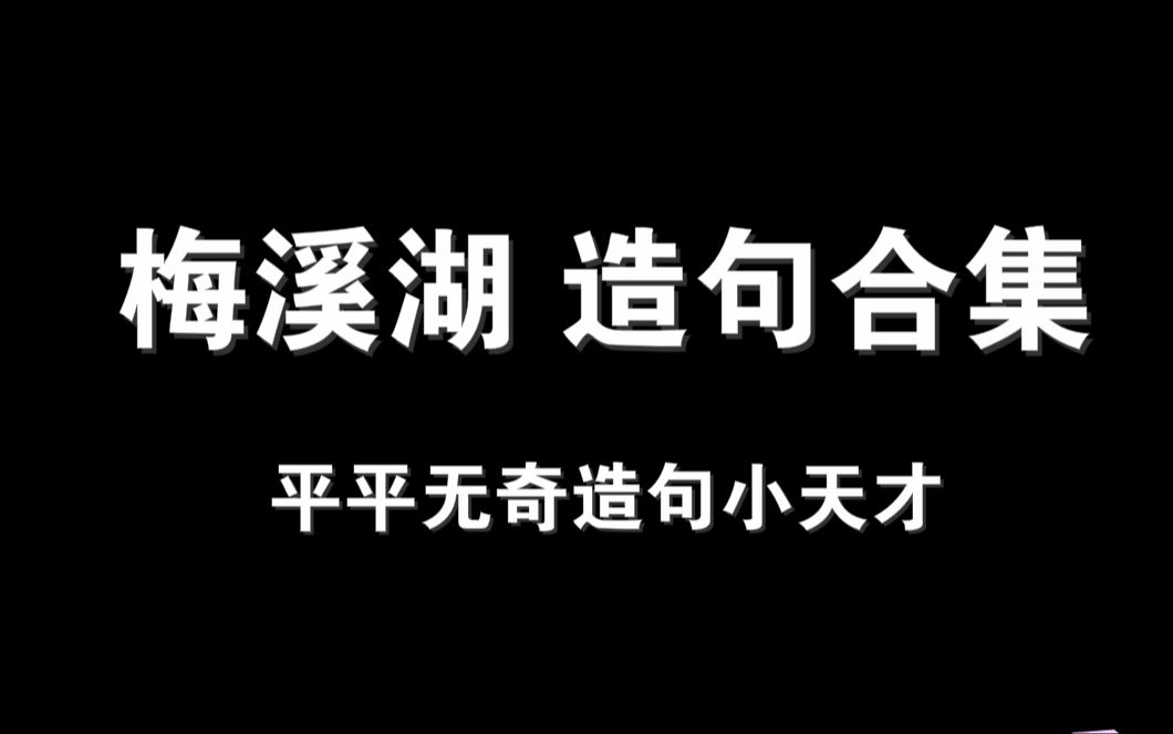 【梅溪湖 造句合集】平平无奇造句小天才哔哩哔哩bilibili