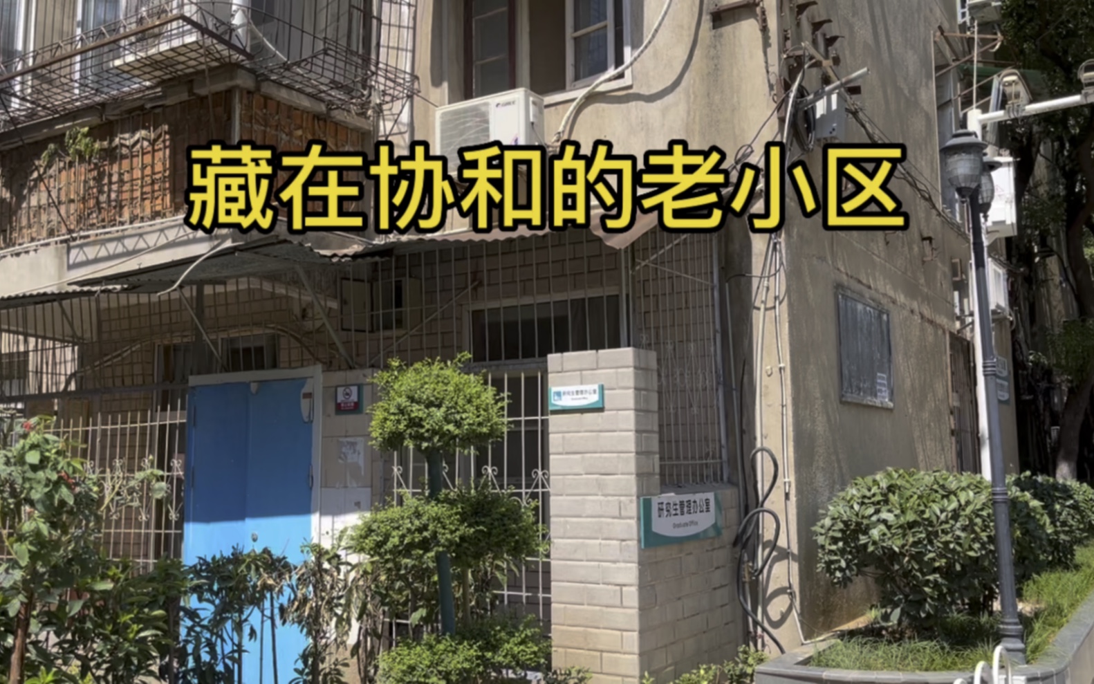 藏在协和的老小区,拍摄于2022年夏天,中国湖北省武汉市汉口哔哩哔哩bilibili