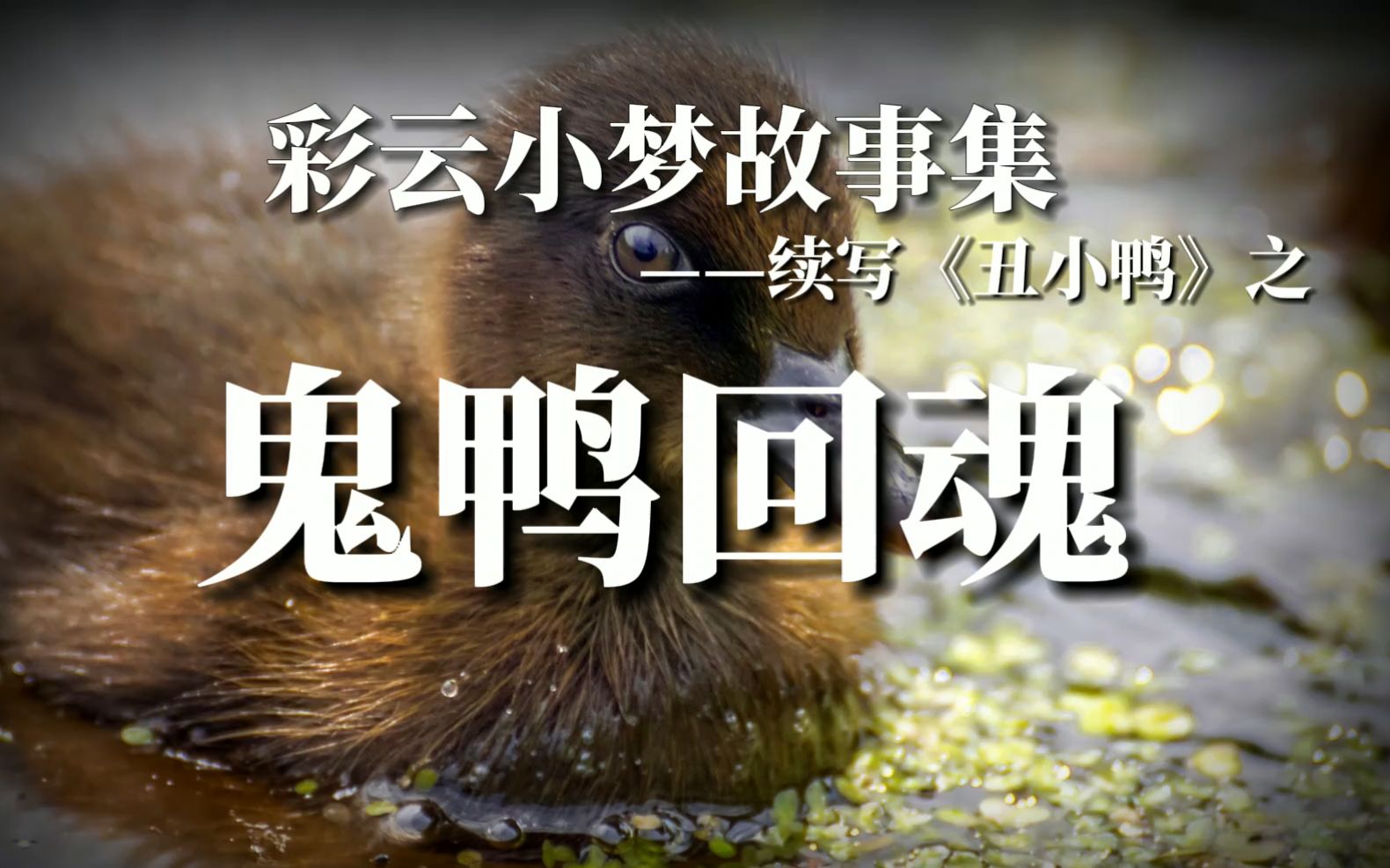 胎死蛋中化身复仇鬼鸭人工智能另类演绎丑小鸭彩云小梦续写001