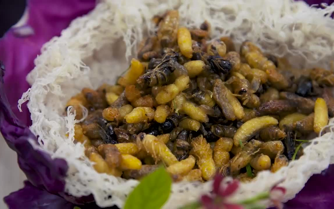 美国大叔在越南大吃红烧甲鱼,品尝百虫宴,生吃蜜蜂卵,炸蟋蟀,应有尽有