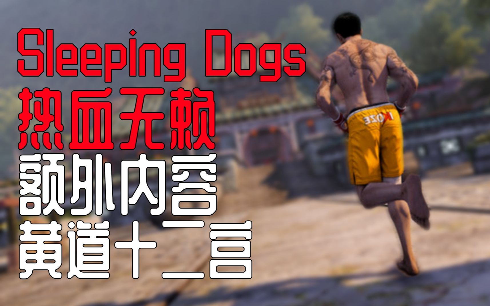 [图]一不小心中了女人的毒！《热血无赖丨Sleeping Dogs》DLC 黄道十二宫