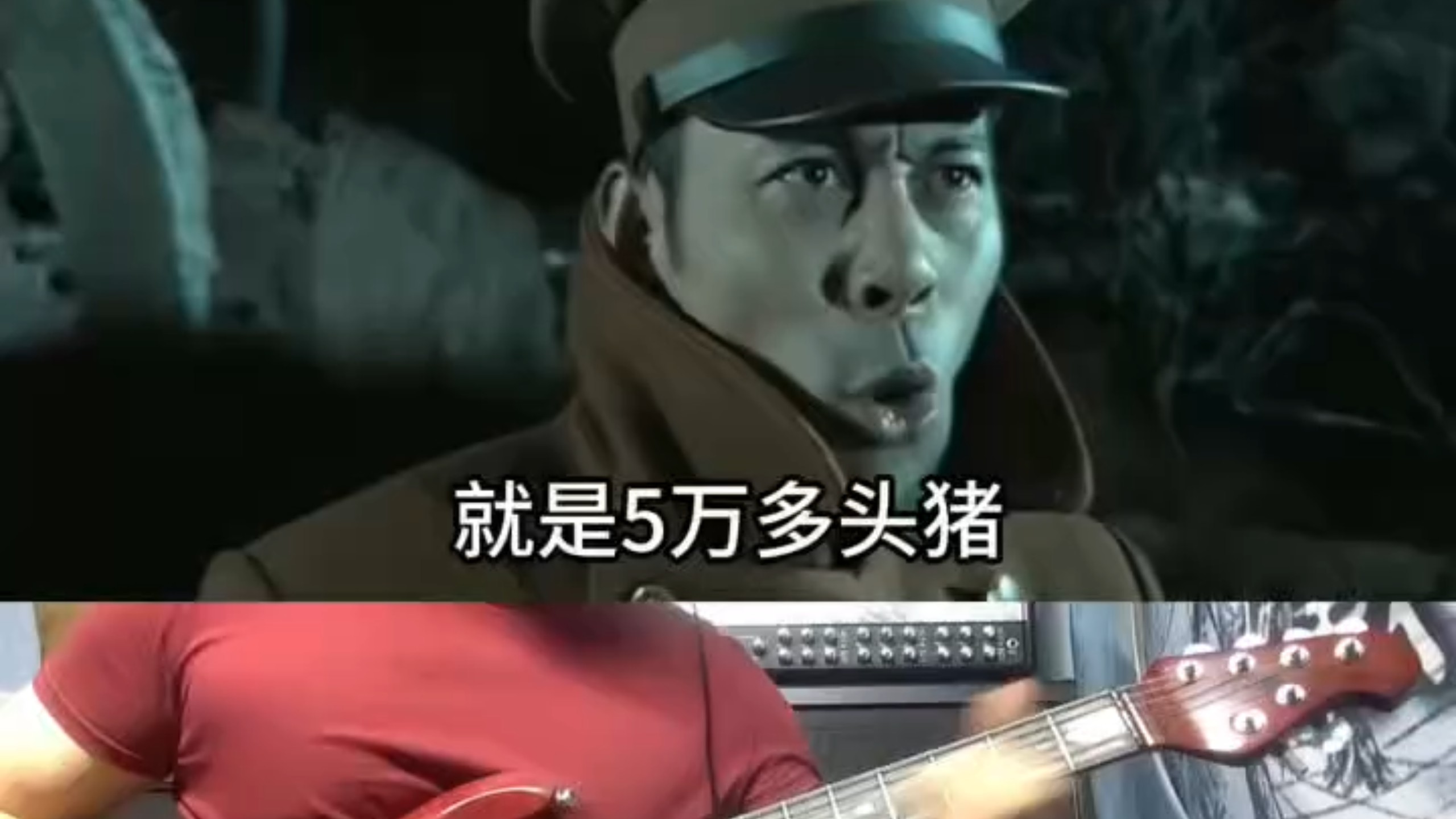 5万多头猪