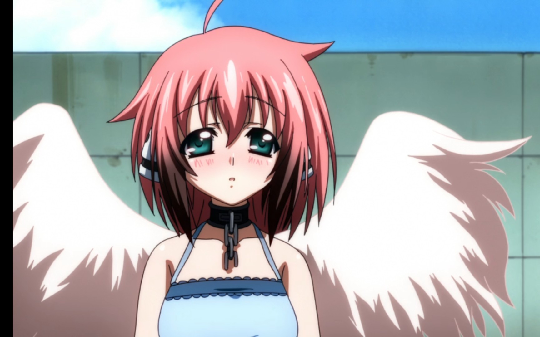 不知所措的伊卡洛斯