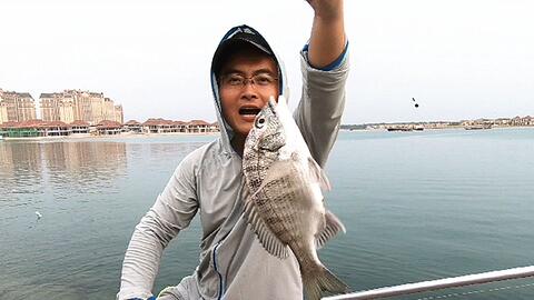 防波堤下面到底有多少鱼 饵料下水就黑漂 鱼都饿疯了 哔哩哔哩