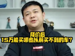 Descargar video: 降价后15万能买哪些以前买不到的车？