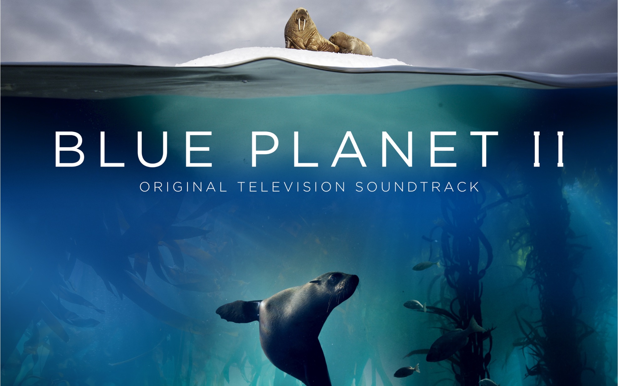 纪录片神作 蓝色星球