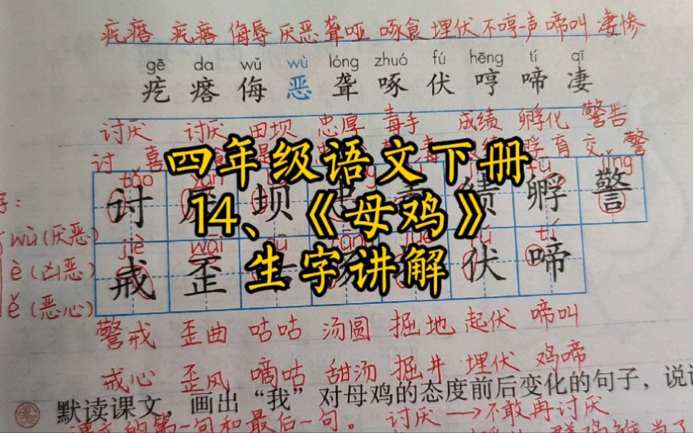 四下14、《母鸡》生字讲解哔哩哔哩bilibili