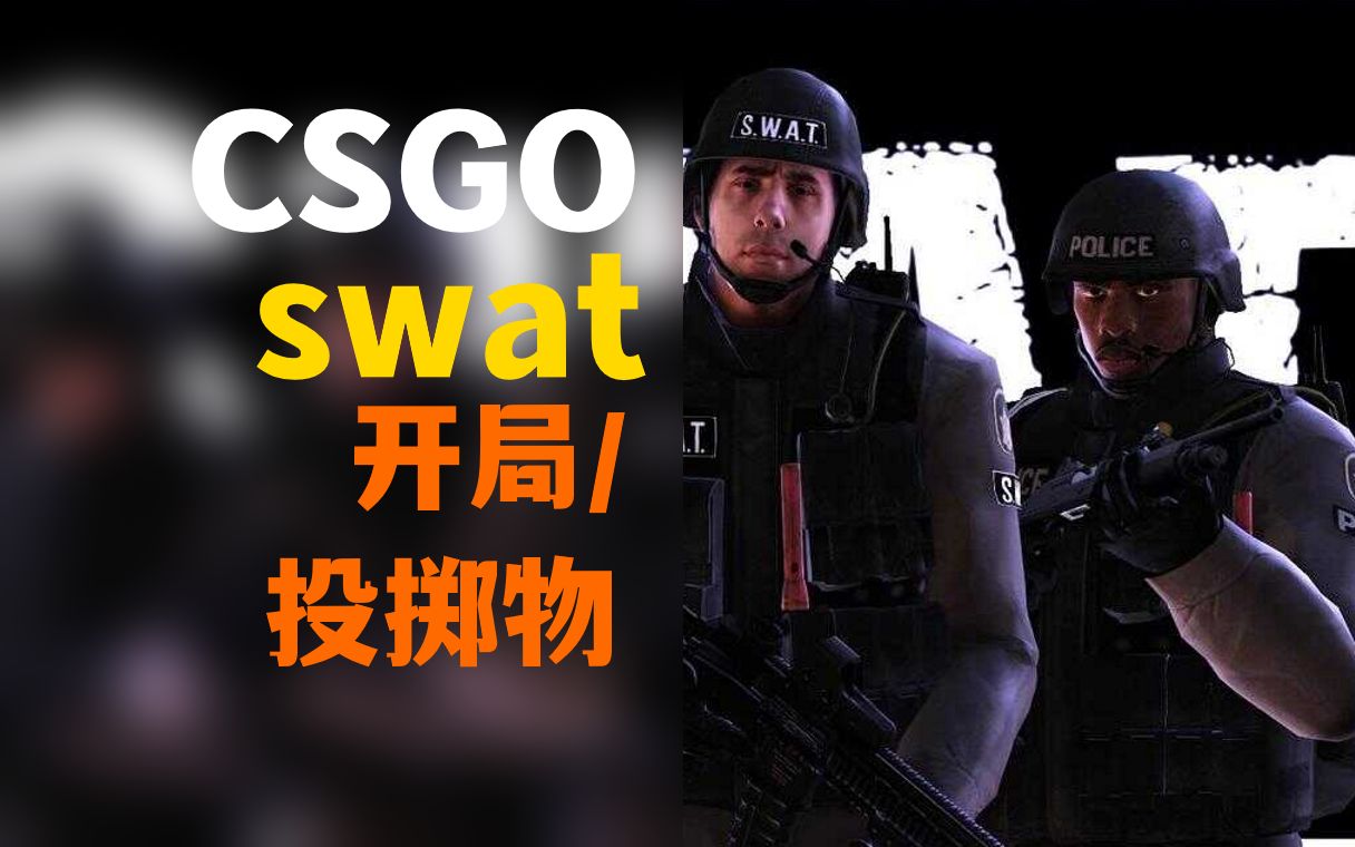 csgo swat图片