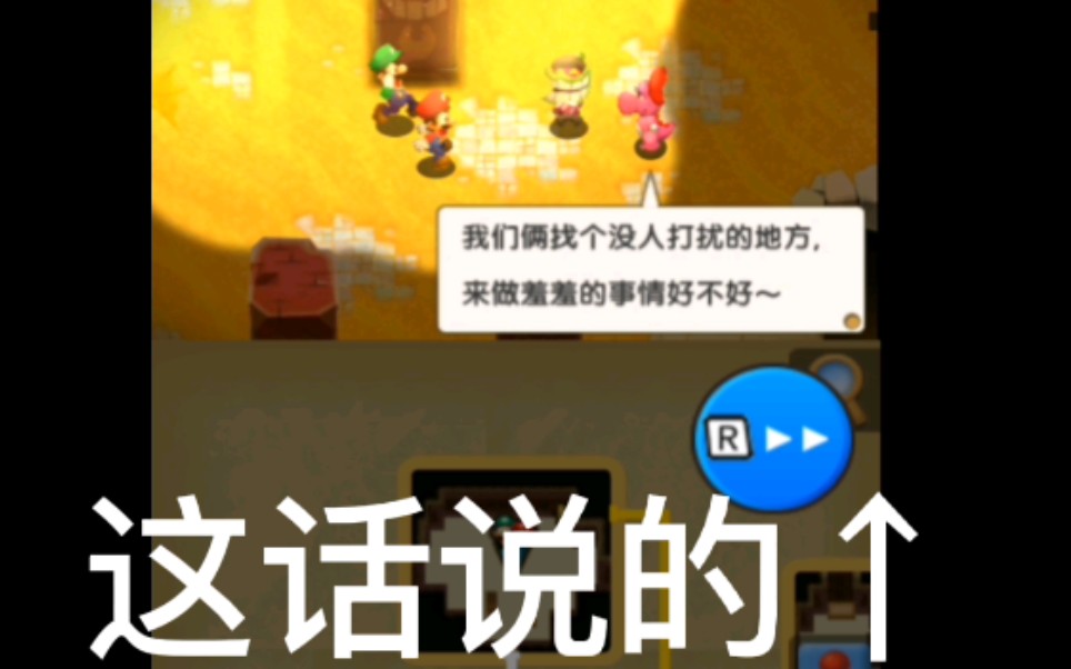 [图]马里奥与路易吉RPG1DX 最终小偷之战