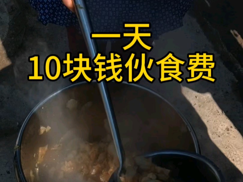 昨天开了点生活费,一天扣了10元伙食费哔哩哔哩bilibili