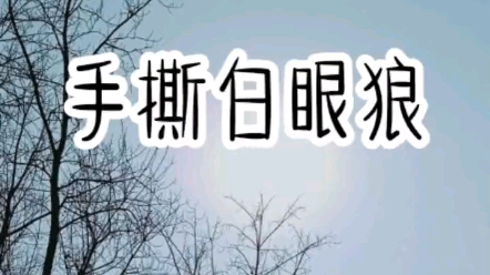 全网都知道我有个喜欢喝白粥谈锤子恋爱的养女许沁…哔哩哔哩bilibili