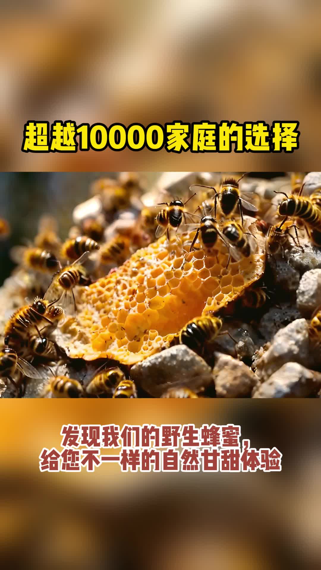 超越10000家庭的选择,野生蜂蜜,给您不一样的甘甜体验哔哩哔哩bilibili