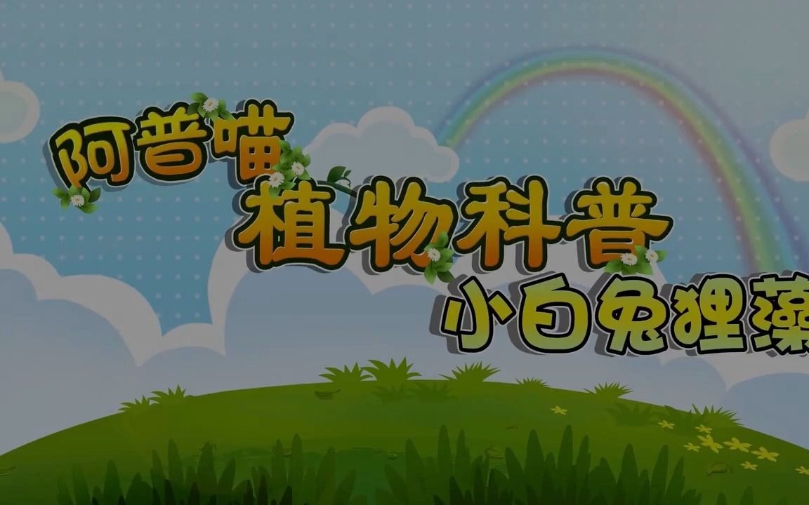 阿普喵植物科普之《小白兔狸藻》哔哩哔哩bilibili