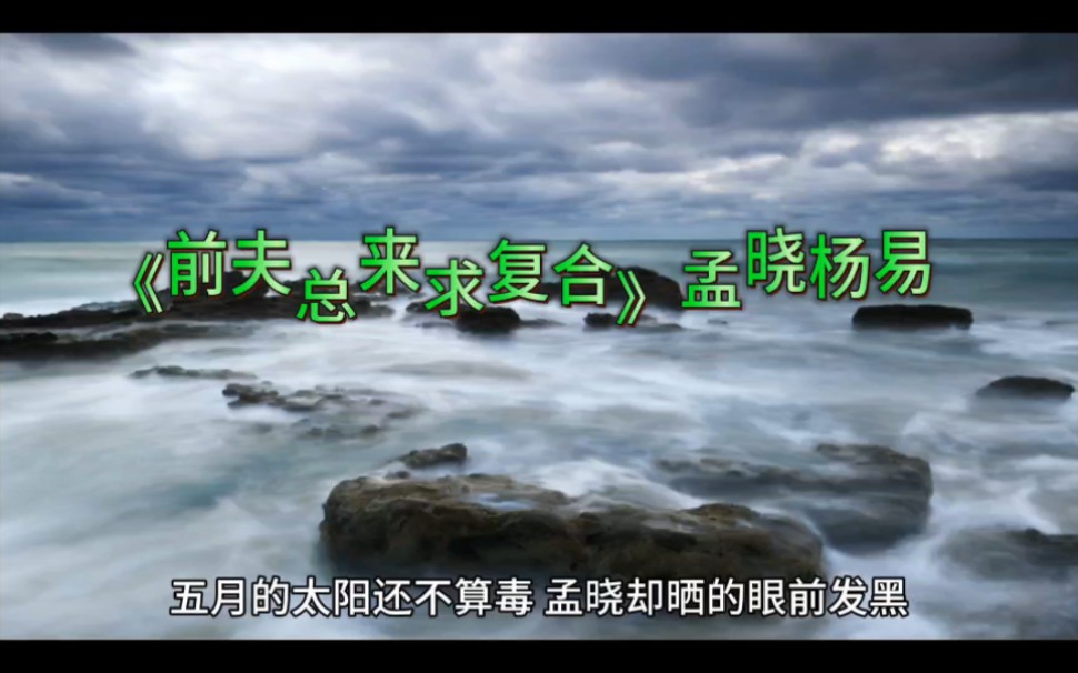 [图]必读爽文《前夫总来求复合》孟晓杨易全文在线阅读