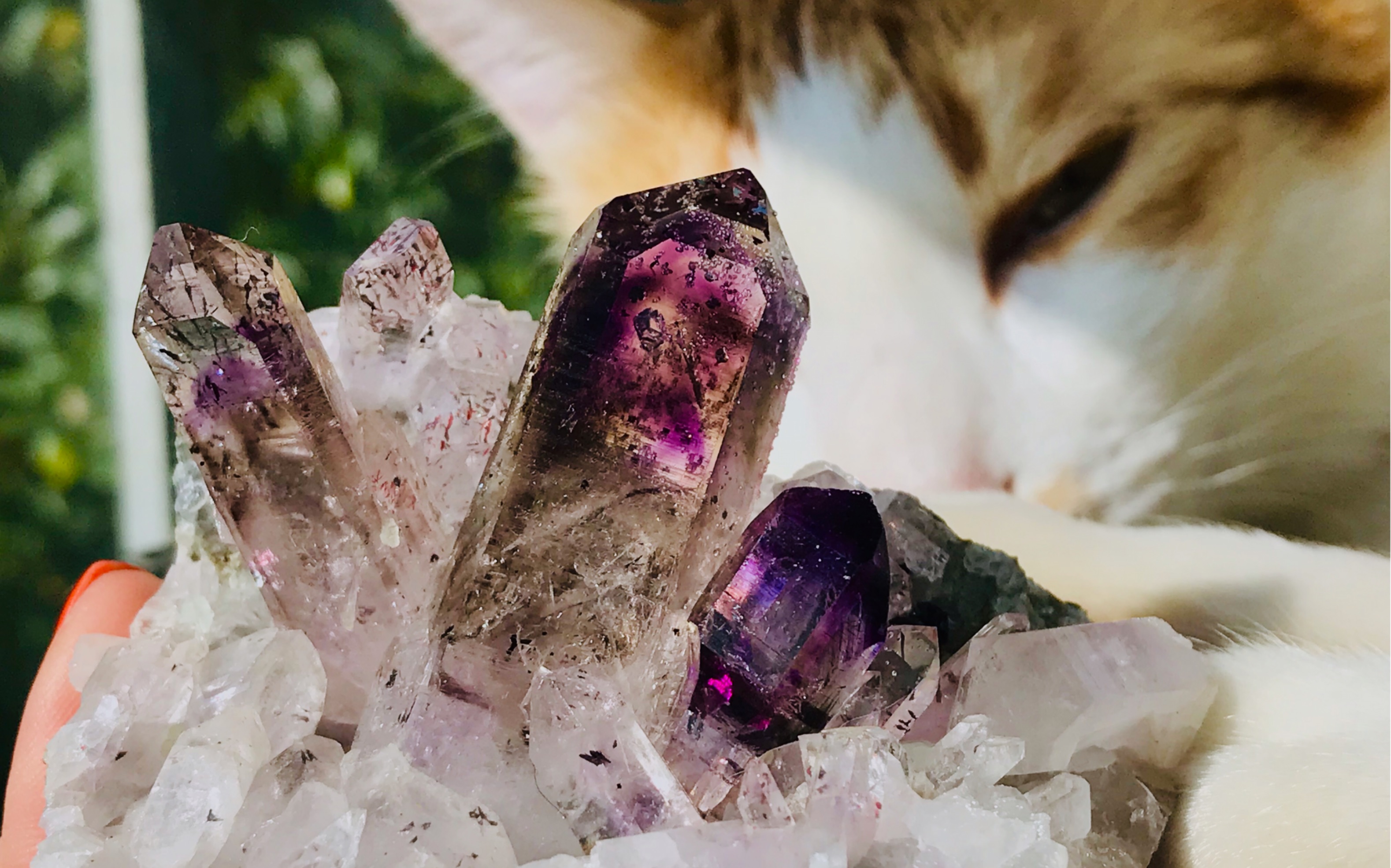 纳米比亚幻影紫水晶