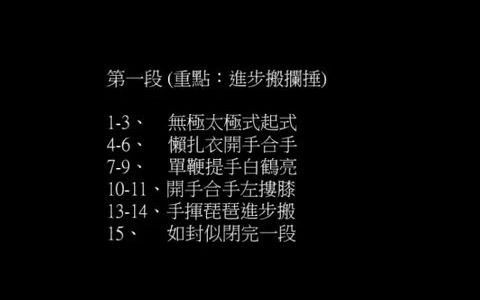 [图]孙氏太极拳98式学习 第一段1-15式 重点 进步搬攔捶