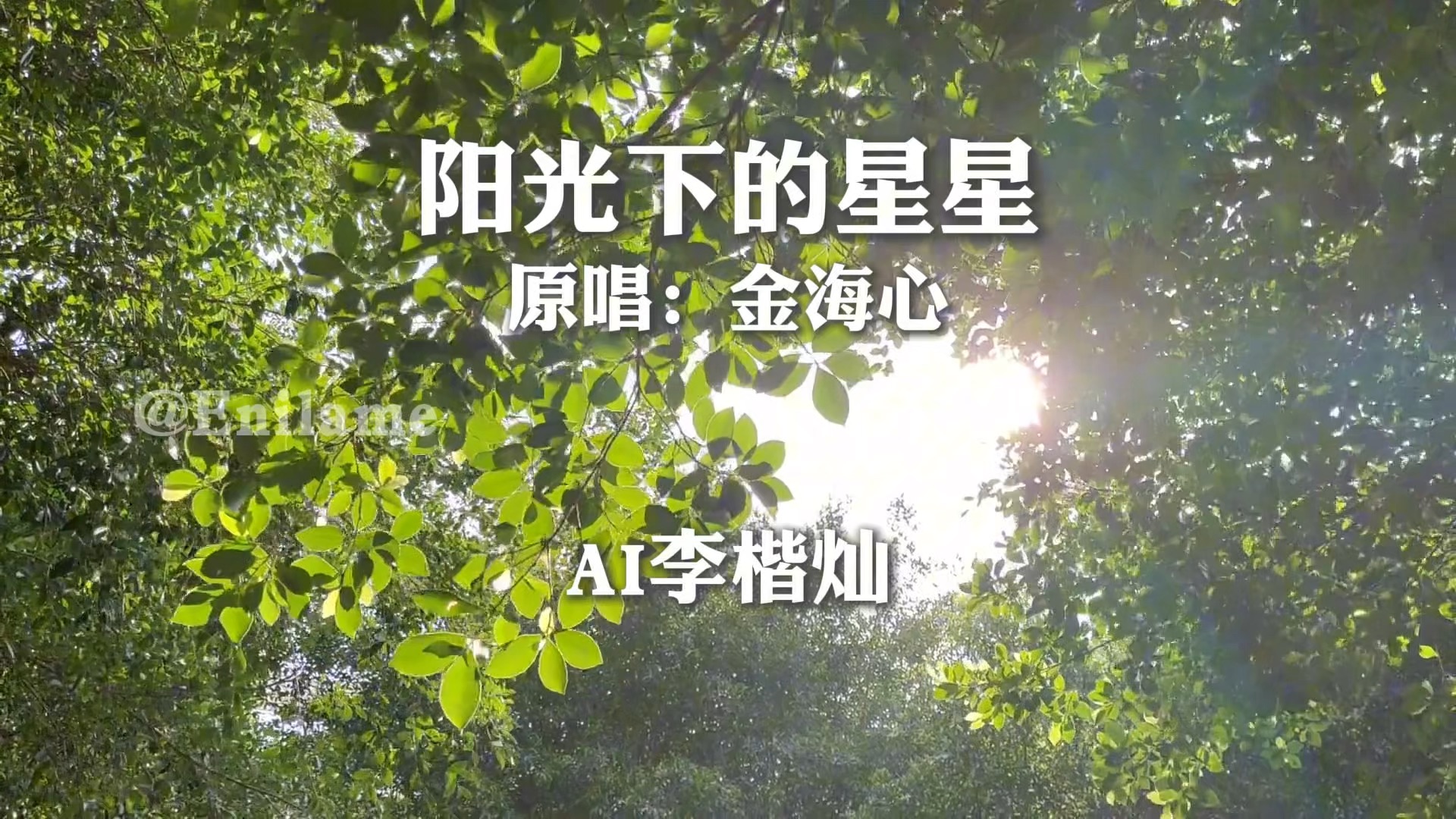 【ai cover】李楷灿 阳光下的星星(原唱:金海心)