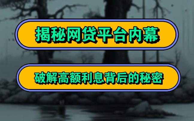 揭秘网贷平台内幕,破解高额利息背后的秘密!哔哩哔哩bilibili