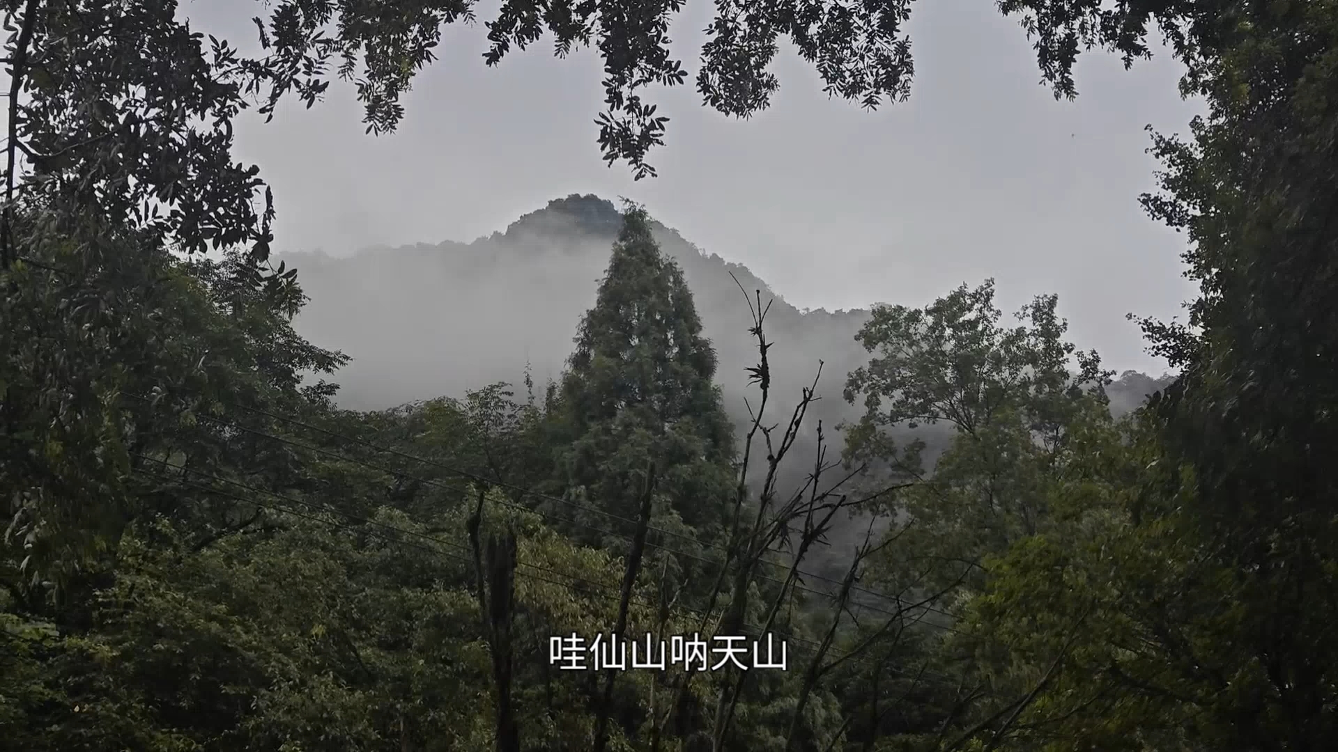 老表来都江堰感受乡村风景