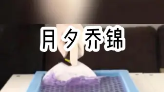 《月夕乔锦》