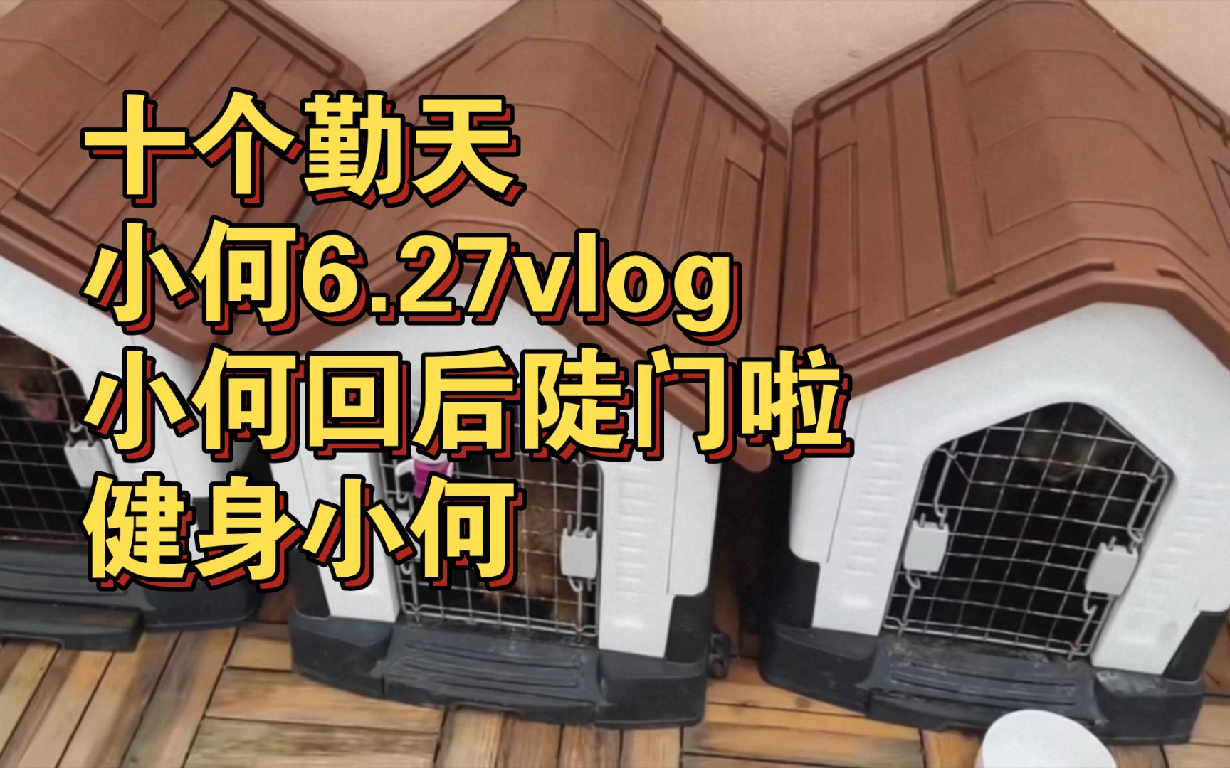 十个勤天 小何6.27vlog|小何回后陡门啦|健身小何哔哩哔哩bilibili