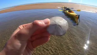 宁加洛 (Ningaloo) 的苗圃 - 西澳大利亚埃克斯茅斯湾的皮划艇探险
