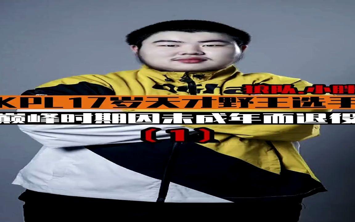 kpl17岁天才野王选手,小胖.#kpl #王者荣耀 #热门