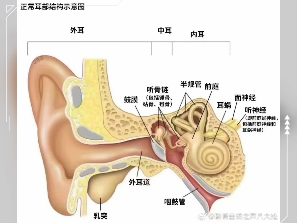 【峰力助听器】新作上线,快来看看!哔哩哔哩bilibili