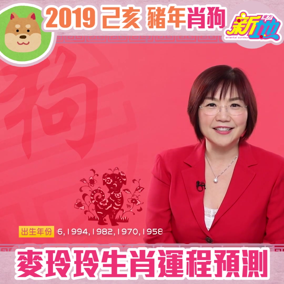 麦玲玲 2019 猪年运程肖虎篇哔哩哔哩bilibili