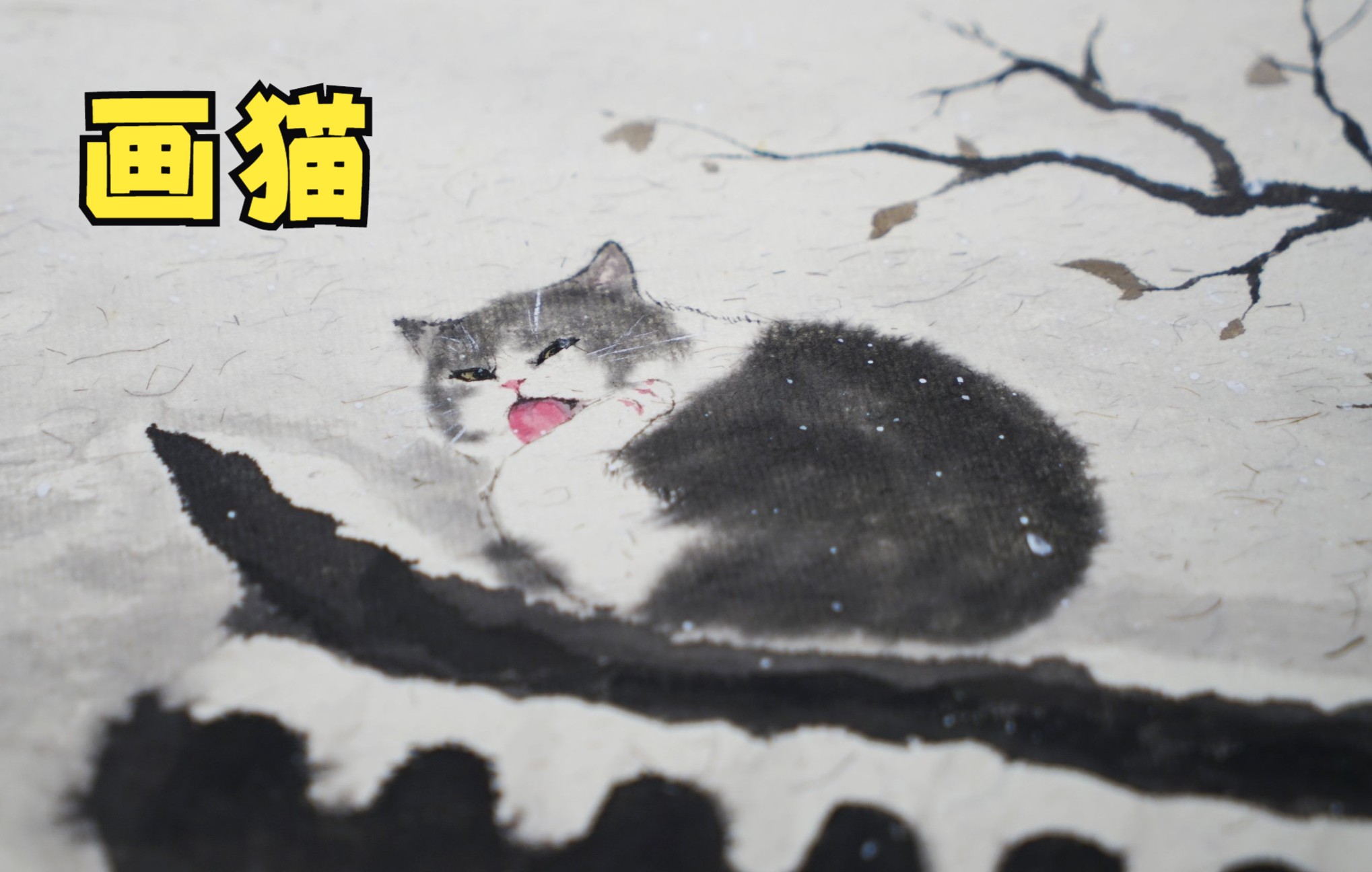 国画猫咪24节气(立冬小雪大雪)哔哩哔哩bilibili