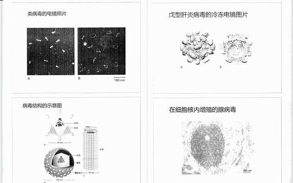 陈誉华《医学细胞生物学》本科生课件哔哩哔哩bilibili