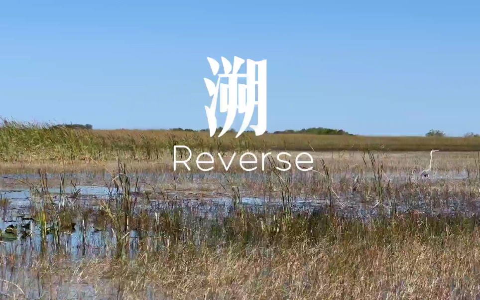 [图]唯美电音歌曲 溯(Reverse)CORSAK胡梦周feat.马吟吟