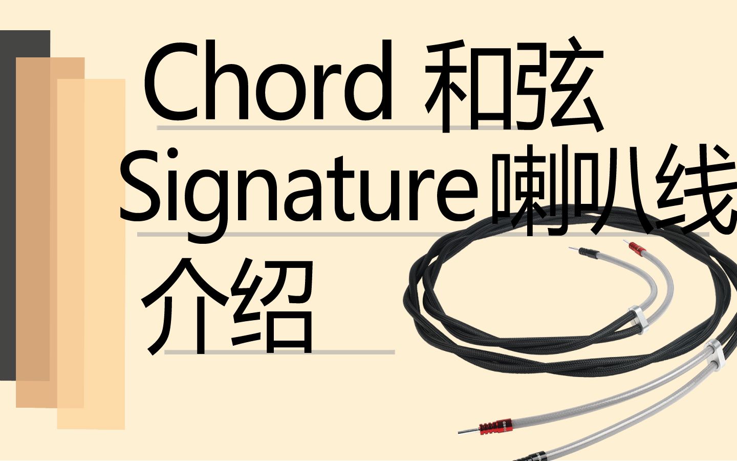 【有字幕】Chord和弦Signature喇叭线介绍哔哩哔哩bilibili