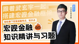 武玄宇：2023金融硕士宏观金融学基础课程精讲（完结） | 金融硕士考研431金融学综合 | 适用各院校