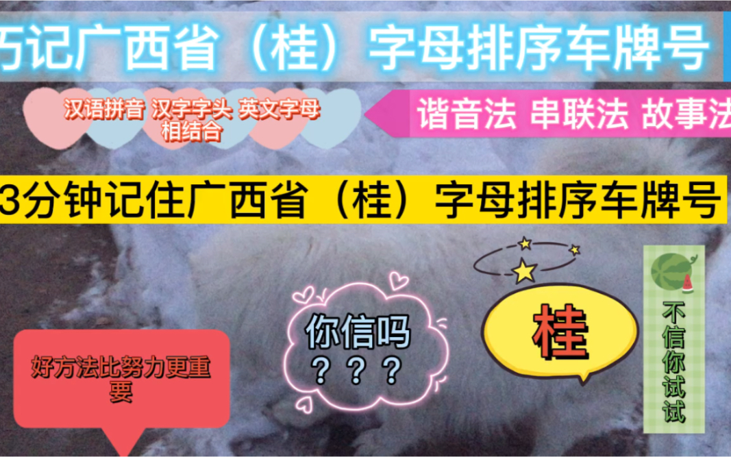 3分钟记住广西省(桂)字母排序车牌号 你信吗?哔哩哔哩bilibili