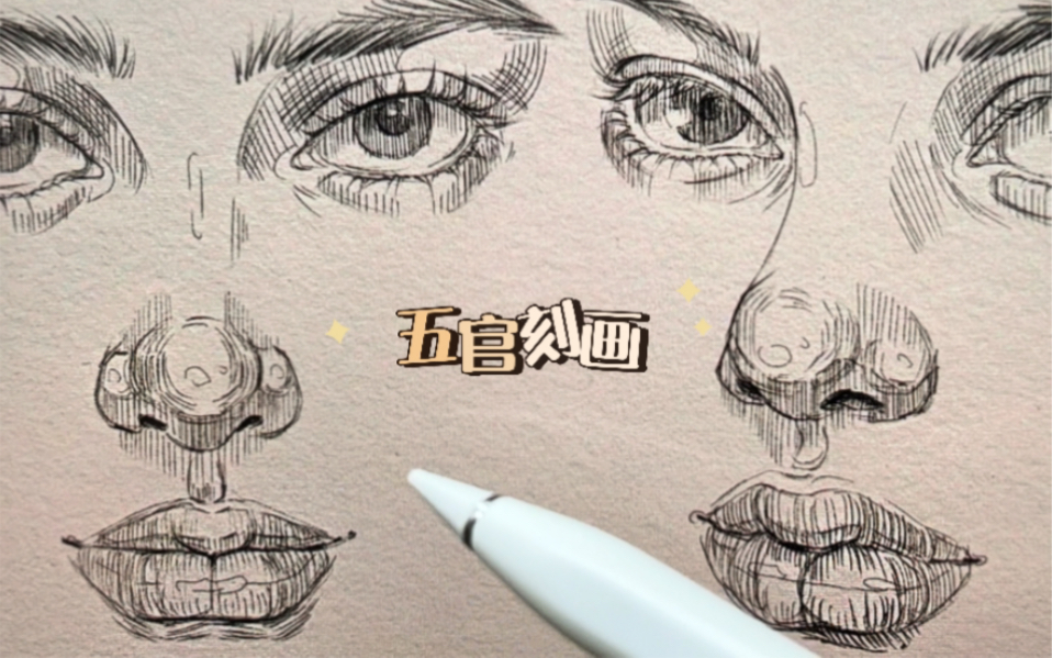 新手绘画教程|如何用线条塑造五官结构和明暗?线条排布和走向讲解-一拳超猫-学习-哔哩哔哩视频