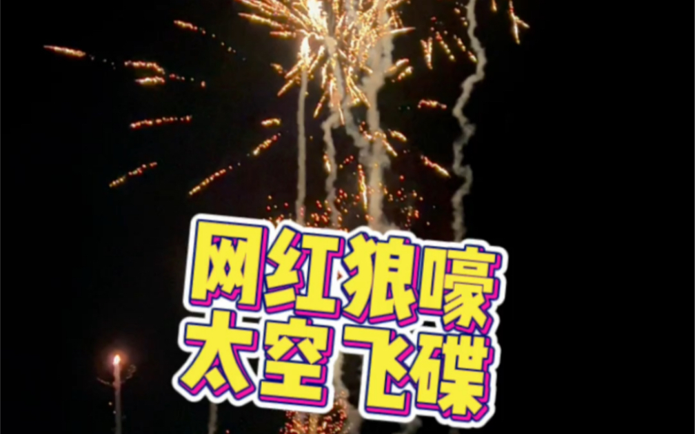 网红狼嚎太空飞碟 @贤祥烟花十个一起放牛逼 91919191