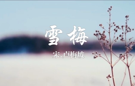 宋.卢梅坡《雪梅.其一》梅须逊雪三分白,雪却输梅一段香!哔哩哔哩bilibili