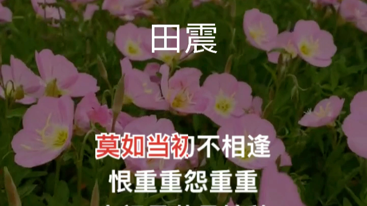 [图]田震经典歌曲《未了情》