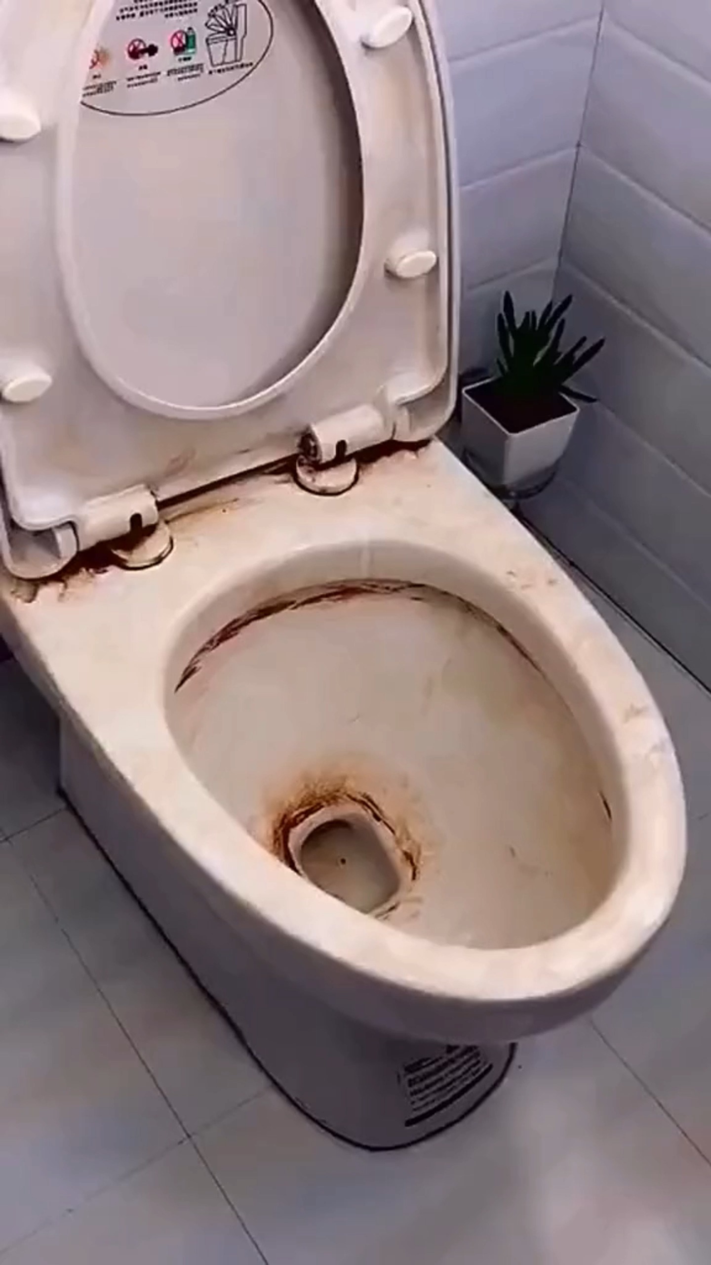 为什么马桶会这么黄这么脏!